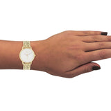 OOZOO Timepieces - C11027 - Damen - Edelstahl-Glieder-Armband - Gold/Weißd - Gold/Weiß
